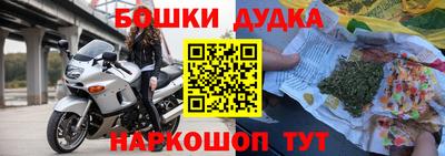 стаф Будённовск
