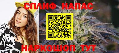 стаф Будённовск