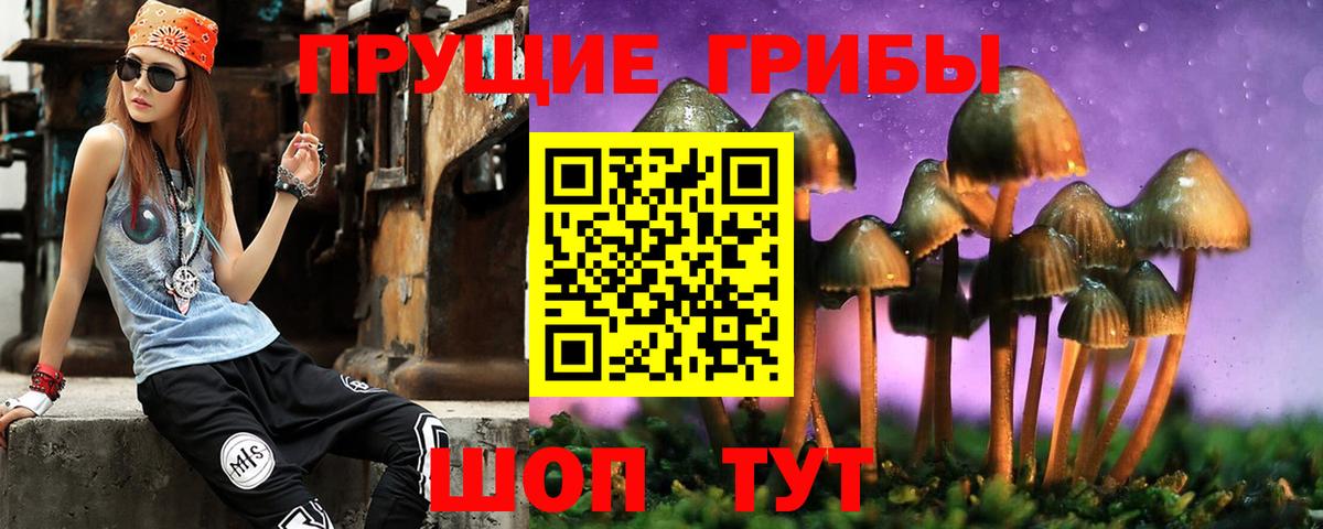 Псилоцибиновые грибы ЛСД  Вход с VPN  сколько стоит  Старая Купавна 
